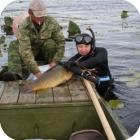 О подводной охоте в Ленинградской области
